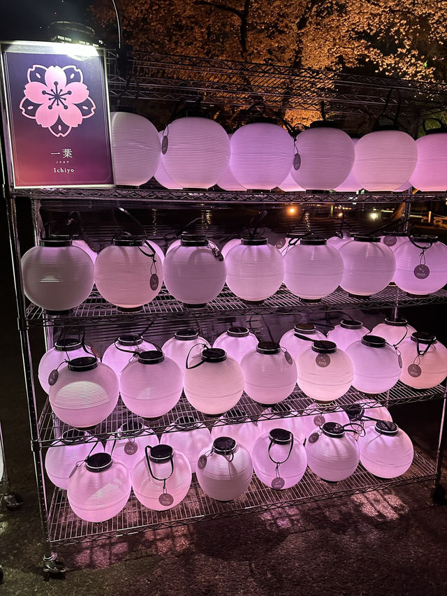 🌸 NAKED 桜の新宿御苑|デジタルと桜が融合する夜のお花見 🌸 NAKED 桜の新宿御苑|デジタルと桜が融合する夜のお花見