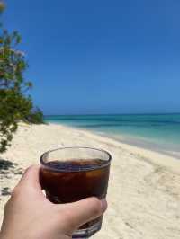 🇫🇯Tivua Island: A Tropical Paradise 🥥🌴