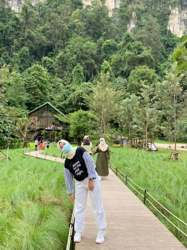 Into the forest 🌳🎍