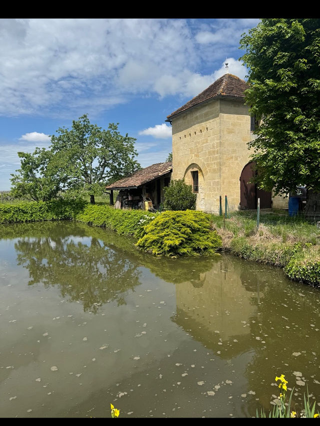 【世界屈指のワインの旅🍷ボルドーのワイン街道を巡る】