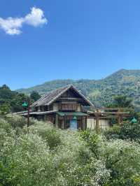 Mori Natural Farm