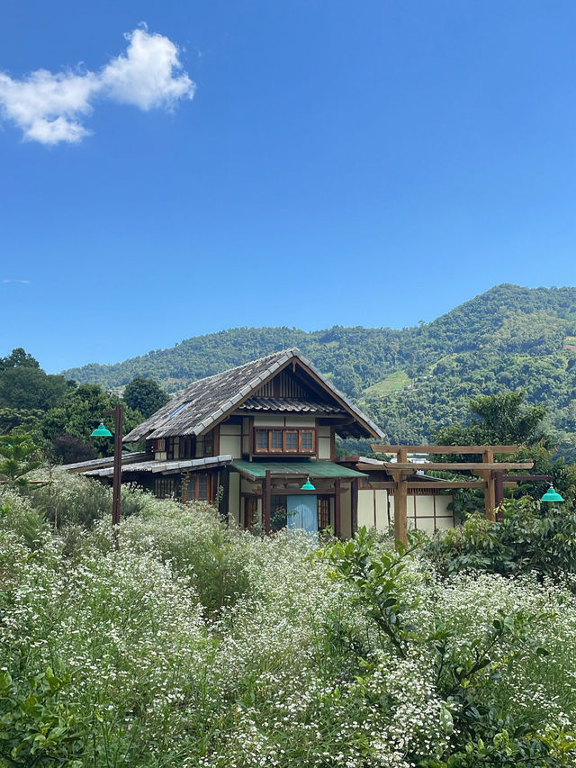 Mori Natural Farm Mori Natural Farm
