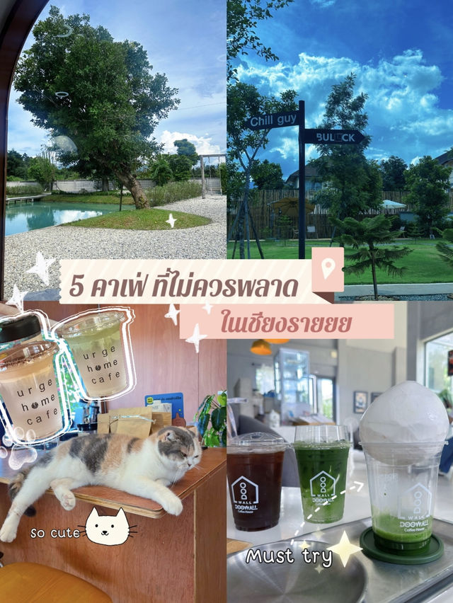 5 คาเฟ่เชียงราย ไม่ควรพลาด