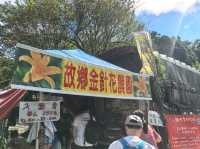 竹子湖故鄉金針花農園