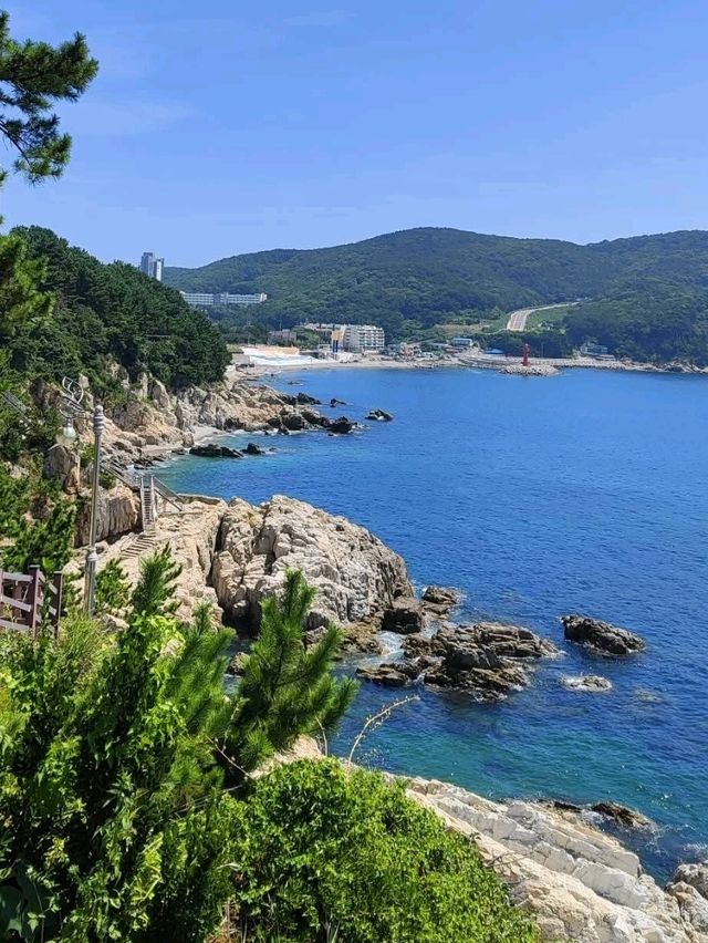 影島的絕影海岸散步路有時間絕對要來走一趟