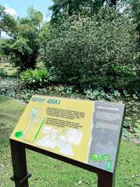 “Serenity in the City: Discover the Tranquil Beauty of Perdana Botanical Garden”