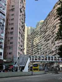 📅 Hong Kong 3 days 2 nights Best Itinerary!