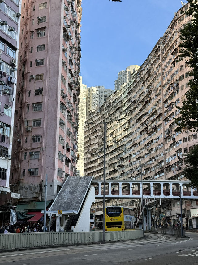 📅 Hong Kong 3 days 2 nights Best Itinerary!