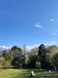 Otomeyama Park: A Peaceful Urban Retreat in Tokyo