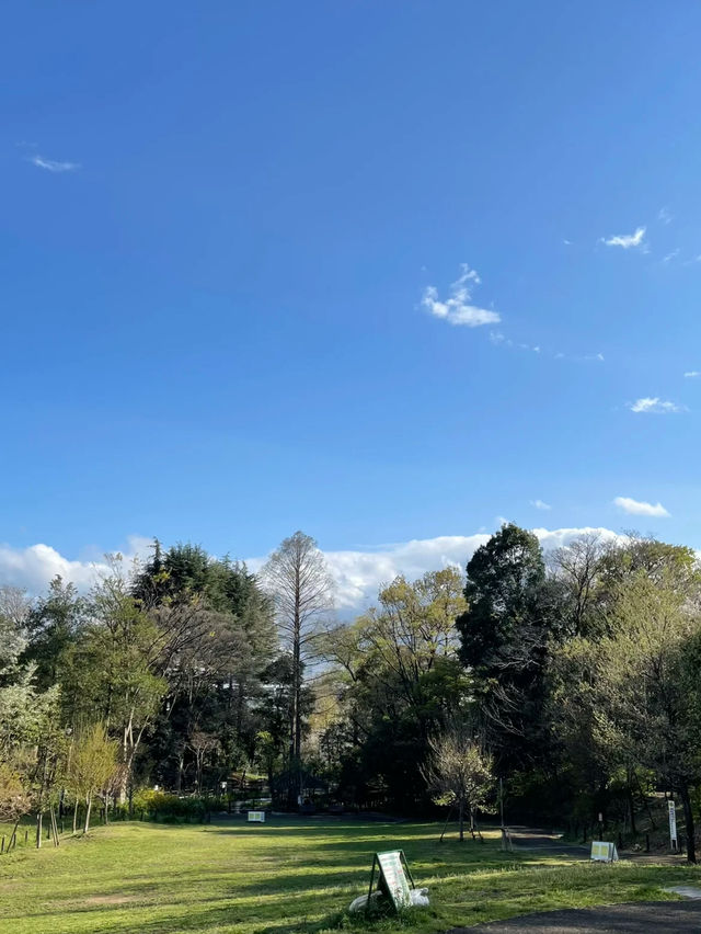 Otomeyama Park: A Peaceful Urban Retreat in Tokyo