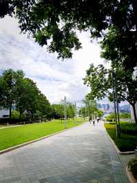金鐘添馬公園看維港景色