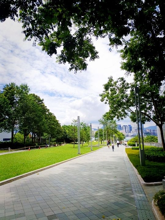 金鐘添馬公園看維港景色