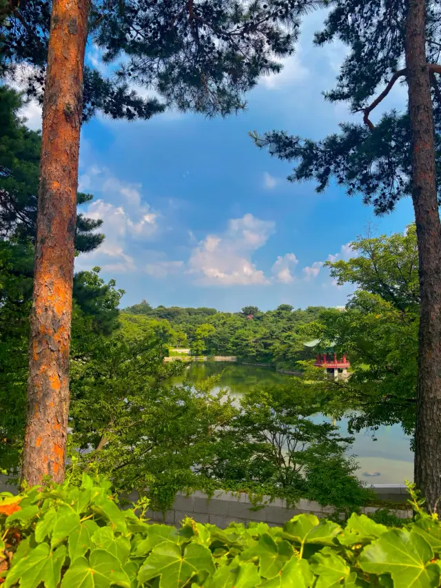 梨村竟然有這麼美的池塘??!! 鏡子池塘🩷