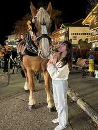 🏔️ 알프스 감성을 품은 미국의 작은 마을, 리븐워스 (Leavenworth)