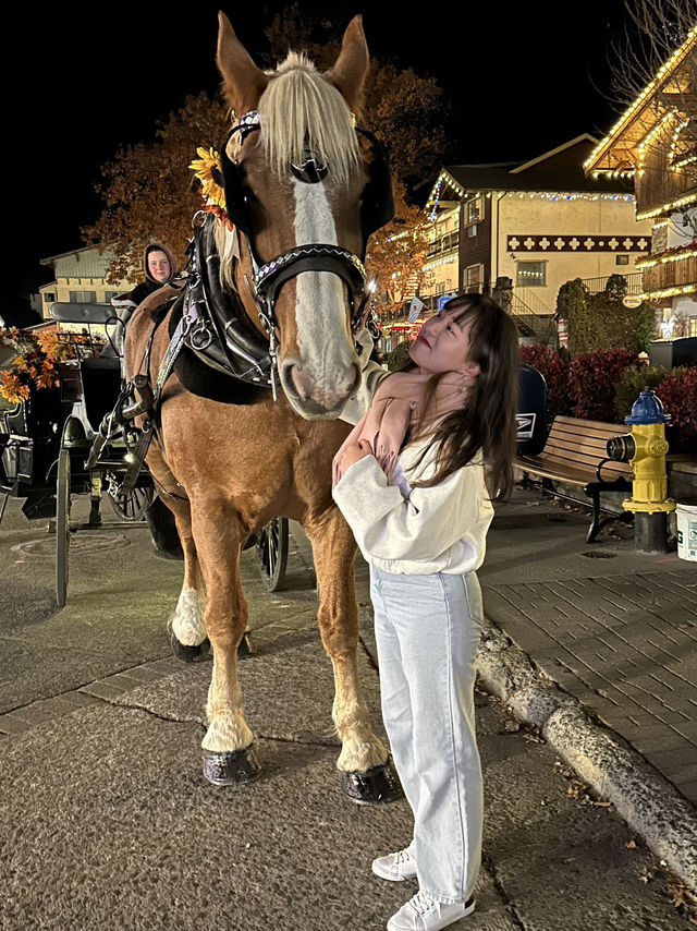 🏔️ 알프스 감성을 품은 미국의 작은 마을, 리븐워스 (Leavenworth) 🏔️ 알프스 감성을 품은 미국의 작은 마을, 리븐워스 (Leavenworth)