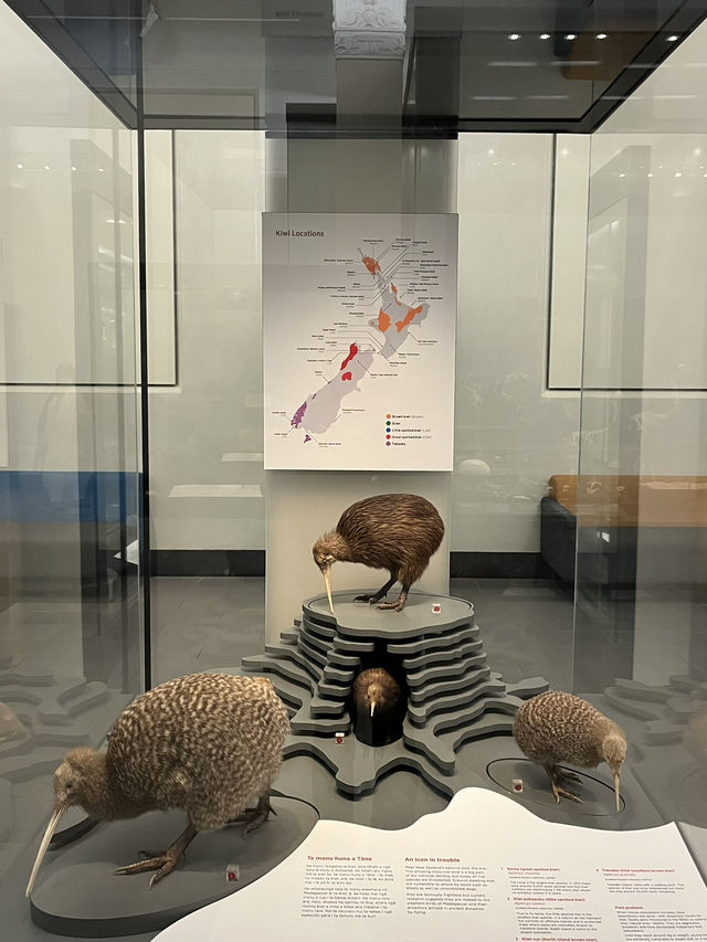 オークランド博物館 (Auckland War Memorial Museum)