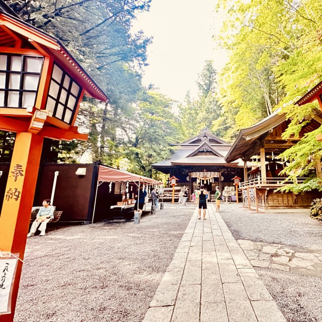 🏔「鳥居、五重塔與富士山同框，這就是日本最經典的風景。」