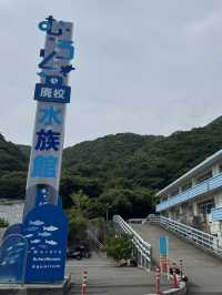 高知旅行！