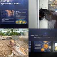 เยี่ยมชม Shanghai Natural History Museum 🦋