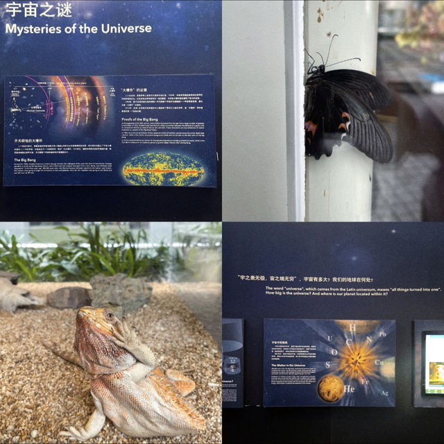 เยี่ยมชม Shanghai Natural History Museum 🦋