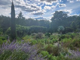 สวนชานติเคลียร์ (สวนชานติเคลียร์ รัฐเพนซิลเวเนีย)