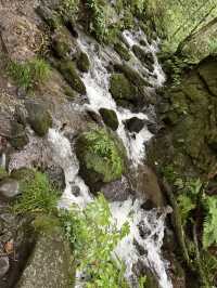 水しぶきとマイナスイオンに包まれる、雲井の滝の楽しみ方