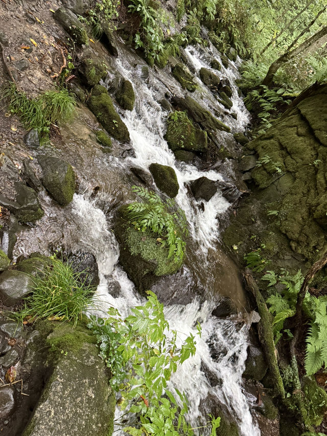 水しぶきとマイナスイオンに包まれる、雲井の滝の楽しみ方