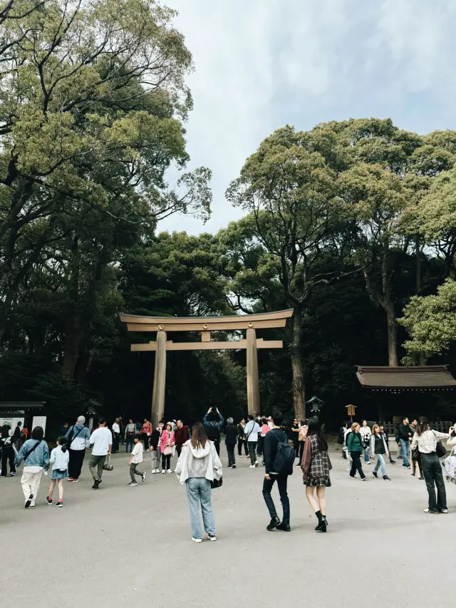 도쿄 벚꽃 시즌 5일 4박 일정 p3 교통수단 및 비용