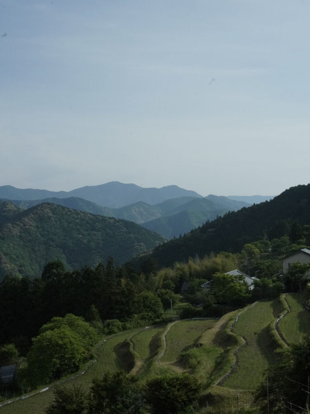🌄 熊野古道・高原展望所 🌄 熊野古道・高原展望所