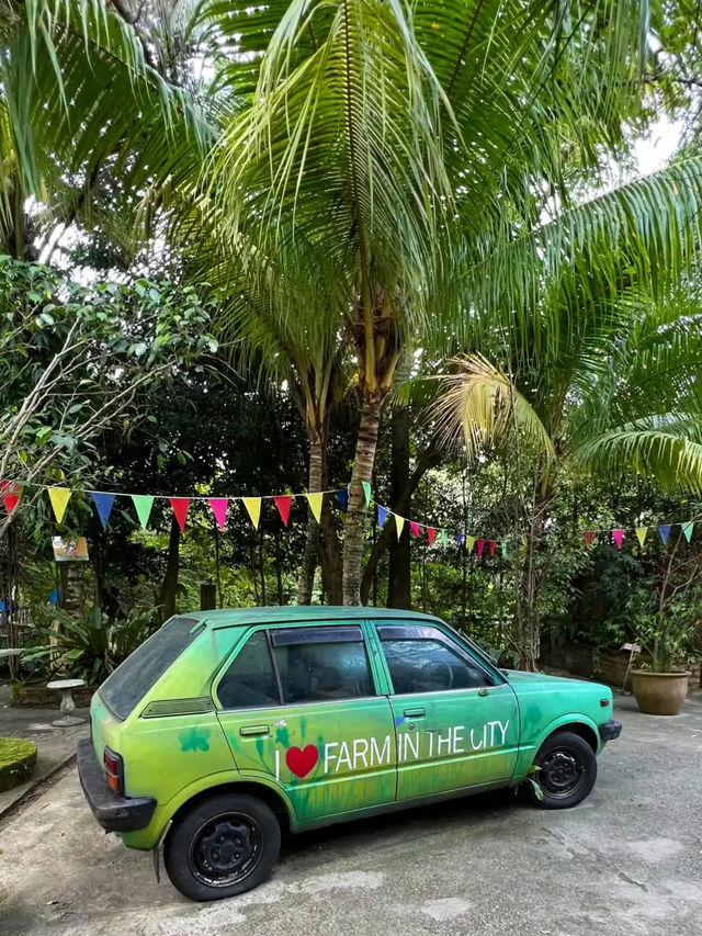 📍 Farm In The City, Kuala Lumpur 방문 후기