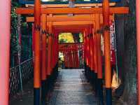 UENO PARK IN TOKYO.