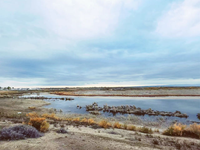 The Altay Highway: An Epic Road Trip Through Northern Xinjiang's Soul