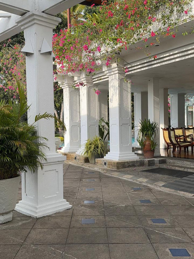 Epic Sri Lanka Weekend: Chill Vibes, Nature Perfection & Eats You’ll Love 😍🌴