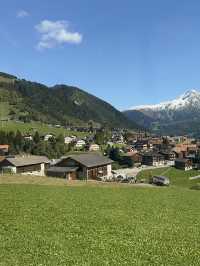 念願だった氷河急行🚂🇨🇭