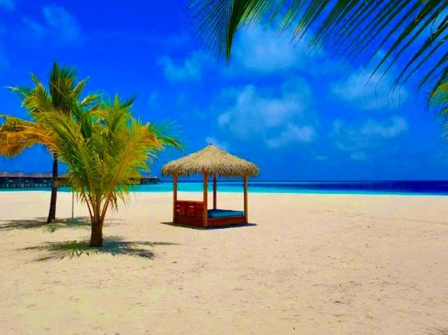 Constance Moofushi — The Art of All-Inclusive Perfection