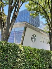 ☕ A Tranquil Morning at Wadakura Fountain Park Starbucks 