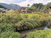 Shirakawa-go หมู่บ้านมรดกโลก 🛖🌿