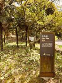  Botanical Showcase of Jeju's Diversity