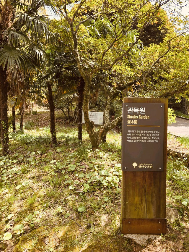  Botanical Showcase of Jeju's Diversity