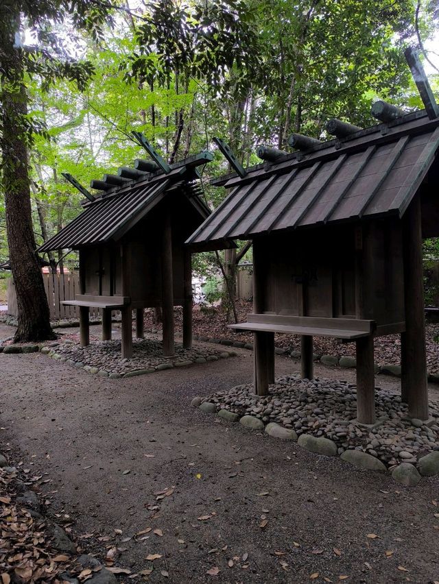 Peaceful Shrine Walk🌞