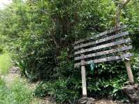 Le Pouce - Unforgettable peak in Mauritius 