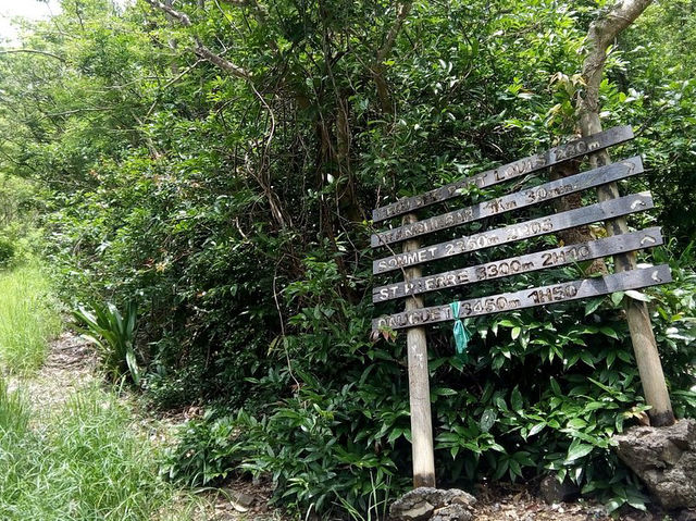 Le Pouce - Unforgettable peak in Mauritius 