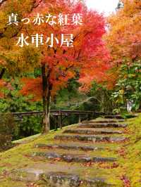 水車小屋の奥の紅葉のグラデーションが絶景