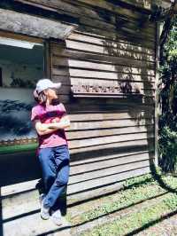 薄霧中的藍寶石——翠峰湖與望洋山漫步記