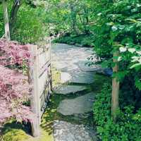A Midwest Sanctuary: My Solo Day at Anderson Japanese Gardens, Rockford
