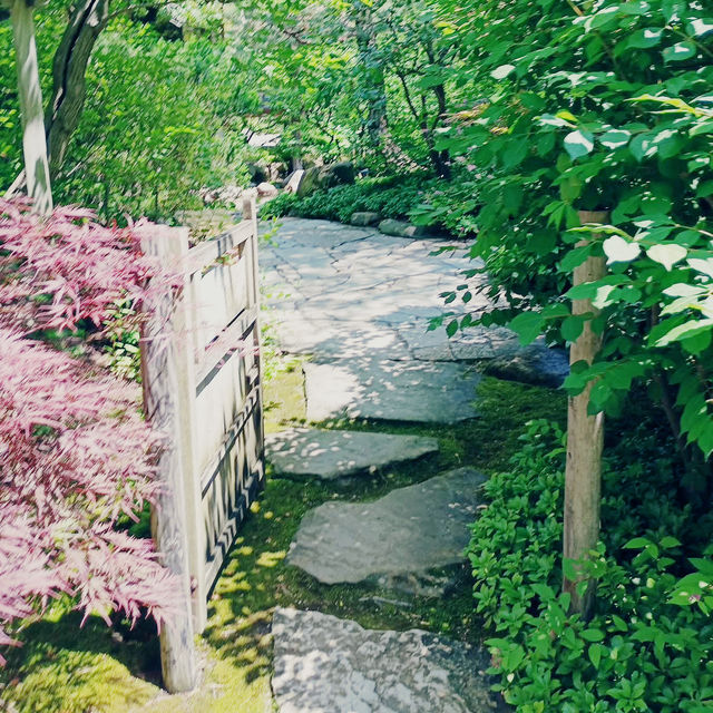A Midwest Sanctuary: My Solo Day at Anderson Japanese Gardens, Rockford