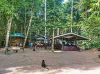 The Gateway to the Underground River!