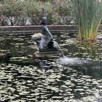 Brooklyn Botanic Garden