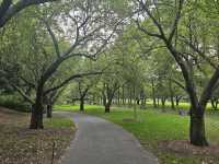 Brooklyn Botanic Garden