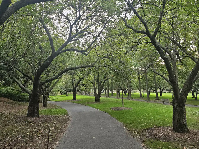 Brooklyn Botanic Garden